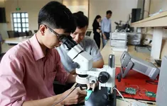 Bộ GD&ĐT ban hành Chuẩn chương trình đào tạo về vi mạch bán dẫn