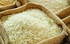 Xuất bán gần 90.000 tấn lương thực dự trữ quốc gia