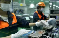 Kế hoạch hành động của Chính phủ về phát triển kinh tế tư nhân