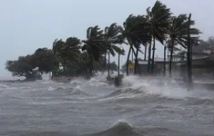 Mùa bão muộn ở Bắc Bán Cầu, dấu hiệu bất thường của mùa bão 2025?