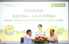 Lãnh đạo tỉnh Lâm Đồng cam kết chất lượng bơ O34 với Bách Hoá Xanh