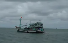 Ngư dân được miễn phí thuê bao, nhà mạng vẫn đòi thu tiền trước