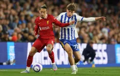Gục ngã trước Brighton, Liverpool nối dài chuỗi trận không thắng sau chức vô địch