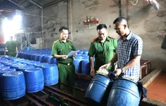 Khởi tố chủ cơ sở bán hơn 60 tấn giá đỗ “ngậm” thuốc kích thích tăng trưởng ra thị trường