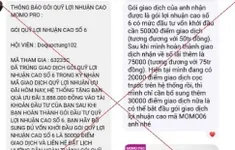 Đầu tư qua MoMo Pro giả mạo, người đàn ông mất hơn 300 triệu đồng