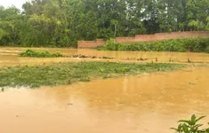 Mưa xối xả 2 ngày ở Thái Nguyên, lúa, hoa màu ngập úng, trường học tốc mái