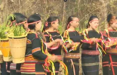 Độc đáo lễ cúng cầu mưa của người Jrai
