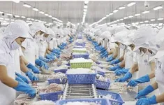 Thủy sản Việt Nam tìm cách thoát “bẫy phụ thuộc”