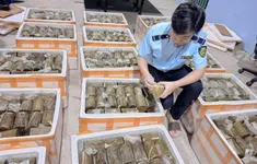 Phú Yên: Phạt 17 triệu đồng, buộc tiêu hủy 1 tấn chả chay không rõ nguồn gốc