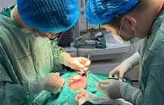 Bé trai ở Tuyên Quang bị chó cắn rách mặt, nhập viện khẩn cấp