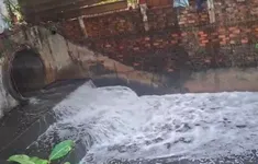 Đồng Nai: Giám sát chặt xử lý nước thải sau sự cố suối Bà Lúa nổi bọt trắng