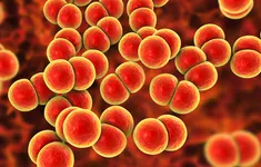 Anh triển khai vaccine phòng bệnh lậu đầu tiên trên thế giới