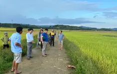 Một phụ nữ bị sét đánh tử vong trên đồng ruộng