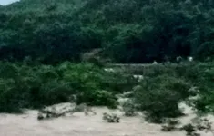 2 học sinh tử vong, 2 em mất tích do lũ cuốn khi tắm suối ở Quảng Ninh