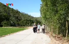 Người dân Phú Yên hiến đất mở đường