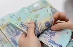 Ngân hàng Nhà nước công bố công cụ hỗ trợ phát triển tín dụng xanh