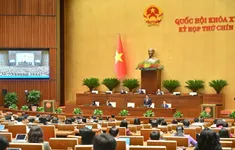 Ngày 23/5, Quốc hội thảo luận về dự án Luật sửa 7 luật lĩnh vực đấu thầu, đầu tư