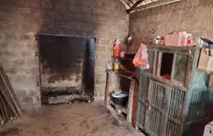 Bệnh nhi 1 tuổi chênh vênh sự sống do căn bệnh tim bẩm sinh quái ác