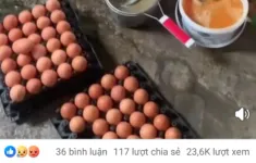 Người chăn nuôi lỗ nặng vì "tin đồn" trứng giả