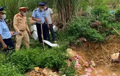 Nghệ An: Thành lập tổ công tác, mở đợt cao điểm chống buôn lậu, hàng giả