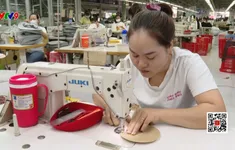 Điều tra doanh nghiệp năm 2025 trên toàn quốc