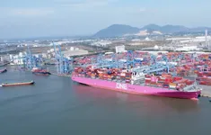 Cái Mép - Thị Vải được nghiên cứu đón tàu 250.000 DWT