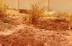 Sudan phát hiện hàng loạt hố chôn tập thể với gần 500 hài cốt