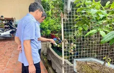Hà Nội ra quân phòng chống sốt xuất huyết, hưởng ứng Ngày ASEAN lần thứ 15