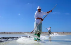 Khi vị mặn làm nên bản sắc