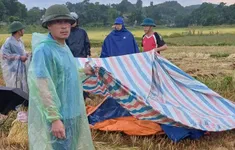 3 người tử vong do sét đánh chỉ trong 2 ngày