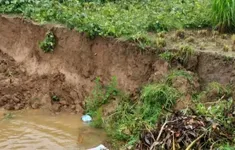 Trà Vinh sạt lở bờ sông, sụt lún kè biển nghiêm trọng