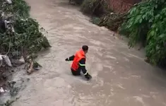 Đồng Nai: Huy động lực lượng tìm kiếm bé gái tắm mưa bị cuốn trôi xuống suối