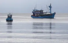 Phạt 5 chủ tàu vi phạm giám sát hành trình khai thác thủy sản