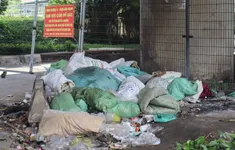 “Nhờn luật” xả rác bừa bãi: Đề xuất tăng phạt, xử lý tận gốc tái phạm
