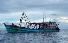 Bắt giữ tàu cá vận chuyển trái phép 60.000 lít dầu DO trên biển