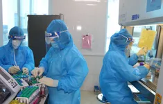 Hà Nội: Sởi giảm nhẹ, COVID-19 và tay chân miệng tăng rải rác