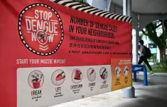 Singapore khuyến cáo người dân cảnh giác với dịch sốt xuất huyết