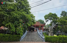Phú Thọ: Mục sở thị “cụ” táu hơn 2.300 tuổi từ thời đại Hùng Vương