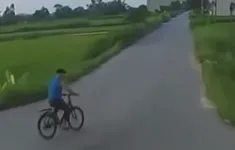 Tránh người đi xe đạp sang đường, xe tải lao xuống ruộng