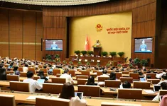 Ngày 29/5, Quốc hội thảo luận về dự án Luật sửa đổi, bổ sung một số điều của Luật Quốc tịch Việt Nam