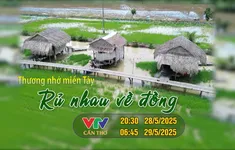 'Rủ nhau về đồng': Trải nghiệm làm nông dân ở Đồng Tháp