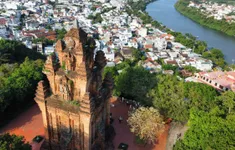 Dáng hoa bên chân tháp cổ Núi Nhạn