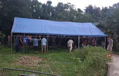Sét đánh tử vong khi đang gặt lúa, ba người thiệt mạng chỉ trong 10 ngày