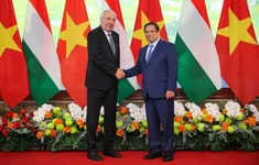 Thủ tướng Phạm Minh Chính hội kiến Tổng thống Hungary