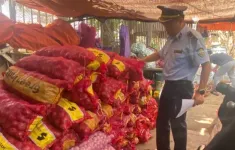 Đắk Lắk: Phát hiện hàng tấn hành, tỏi, dược liệu, mỹ phẩm không rõ nguồn gốc