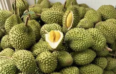 Ưu tiên thông quan nông lâm thủy sản và sầu riêng