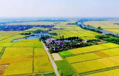 Ngày 30/5, hạn cuối nộp giấy đề nghị gia hạn tiền thuế, tiền thuê đất