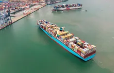 Trung Quốc nối lại nhập khẩu hải sản Nhật Bản