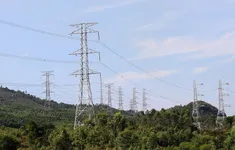 Đẩy nhanh tiến độ dự án đường dây 500 kV Lào Cai - Vĩnh Yên