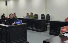 Tòa bác đơn kháng cáo của ông Trần Đình Triển, tuyên y án 3 năm tù